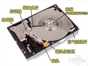 綠色未來，共贏商機——首能環保材料產品解析與加盟優勢